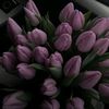dreamge3