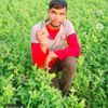 satrudhan.r