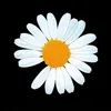 lebang01051992