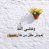 naseem22877