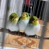 dng.nguyn.hu228