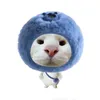 noidauchongchat123