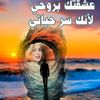 user8137162736141