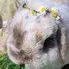 emilys_backup81