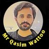 Mr Qasim Wattoo