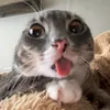 kimkim69715