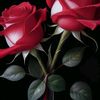 user16800295128038