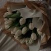 noof.m7