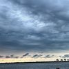 dotpierce_suki8