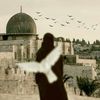nooralquran498