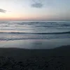 paupau_rcx
