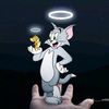 nabeeljamil47