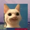 liebegta5