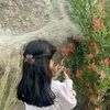 maihaf2
