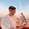 valverdi8_f