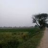 manzoorahmed0429