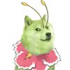 megnium4