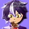 magpie.theropoda
