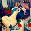 bilal.khan.kakar47