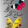 user21653367793611
