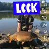 fishingforcarp38