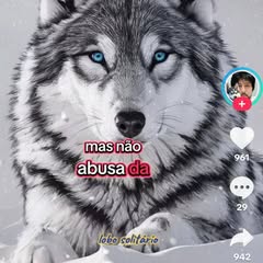 ivan.ivan.abreu.a