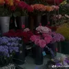 marokkanerin81