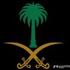 ali.hussin550