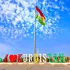 ali.mustafa936