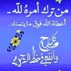 masoon.4