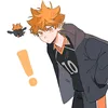 shoyoo_haikyuu