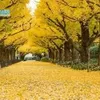 Bán Cả Thế Giới