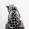 noor.alhuda112