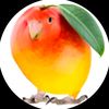 stev_526