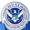 iceisnice665