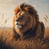 wonderful.animal7