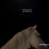goatste2