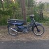 andonz95