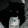 kitty_catdog