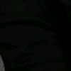 privv__larii