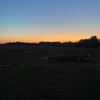 bates_9559