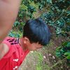 ppikda.sci