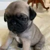 sebastian.raya0