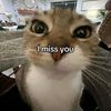 carenabdullah0