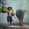 le.chin.vang
