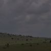 saud2791