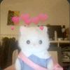 vyxx_al