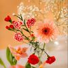 anwarahmed3444