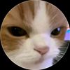 abir.hossen2228