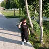 haistan.jolo